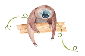 Little Sloth sitting on tree branch, log or peace of trunk with Liana. Watercolor painting of cute Tropical Baby animal isolated on white background. For cards and posters, wallpaper.