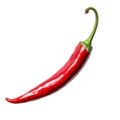 vibrant red chili pepper with glossy surface and curved shape, isolated on transparency background, showcasing its fresh and spicy appearance