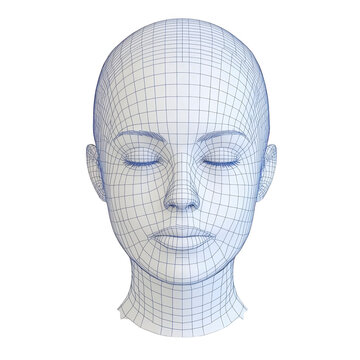 3D wireframe model of human head with closed eyes, showcasing detailed grid lines and neutral expression. model is symmetrical and appears to be used for digital design or animation purposes