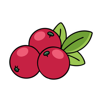 red cranberries with green leaves clip art preview