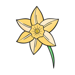 daffodil flower icon, daffodil flower vector illustration-simple illustration of daffodil flower, perfect for daffodil flower logos and icons