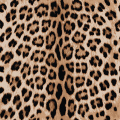 leopard fur texture