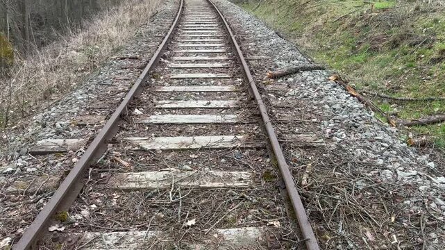 Rail Line Leading Deep Into the Wild Forest