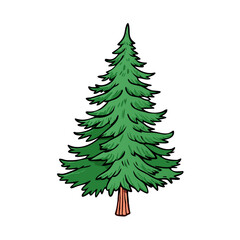 douglas fir tree icon, douglas fir tree vector illustration-simple illustration of douglas fir tree, perfect for douglas fir tree logos and icons