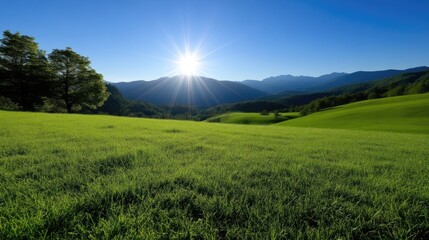 Fototapeta premium Sunlit meadow basking in the radiant glow of a bright sun, nestled amidst rolling green hills and mountains under a clear blue sky.