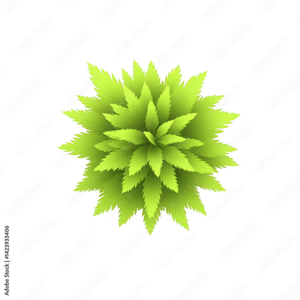 Poster vibrant green plant with layered, pointed leaves arranged in circular pattern, creating symmetrical 