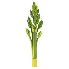Fresh Green Asparagus Stalks with Healthy Vegetables Background