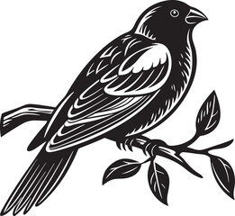 Obraz premium Sinai Rose Finch Bird silhouette