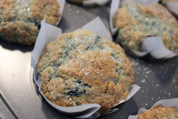 closeup sourdough blueberry muffins