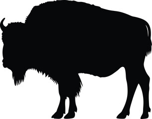 Bison silhouette, bison icon silhouette with grunge texture, buffalo silhouette isolated on white background, Vector illustration