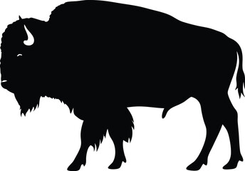 Bison silhouette, bison icon silhouette with grunge texture, buffalo silhouette isolated on white background, Vector illustration