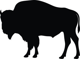 Bison silhouette, bison icon silhouette with grunge texture, buffalo silhouette isolated on white background, Vector illustration