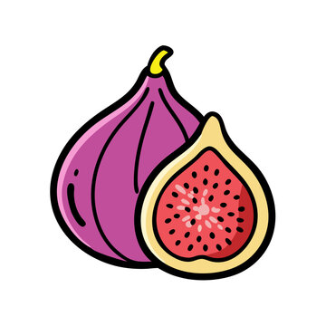 recommend clip art: fig fruit icon, fig fruit vector illustration-simple illustration of fig fruit, perfect for fig fruit logos and icons