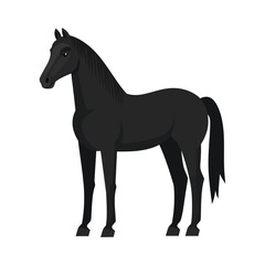 Fototapeta premium Black horse icon. Flat illustration of black horse icon for web design