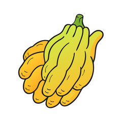 fruit buddha s hand icon, fruit buddha s hand vector illustration-simple illustration of fruit buddha s hand, perfect for fruit buddha s hand logos and icons