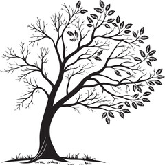 Obraz premium Small-Leaved Lime tree silhouette