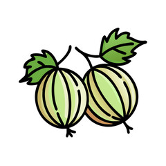 gooseberry icon, gooseberry vector illustration-simple illustration of gooseberry, perfect for gooseberry logos and icons