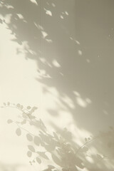 The art of light and shadow