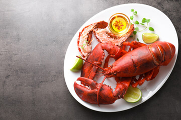 Delicious boiled lobster served on grey table, top view. Space for text