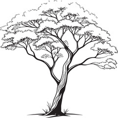 Obraz premium West Indian Mahogany tree silhouette vector illustration