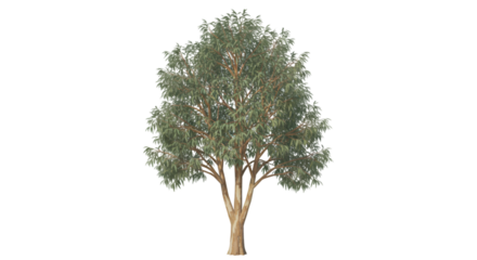 3 d render green tree realistic nature asset