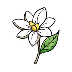 jasmine flower icon, jasmine flower vector illustration-simple illustration of jasmine flower, perfect for jasmine flower logos and icons