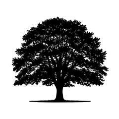 Black oak tree silhouette vector, realistic wide canopy, dense foliage, perfect for design projects.