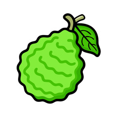 kaffir lime icon, kaffir lime vector illustration-simple illustration of kaffir lime, perfect for kaffir lime logos and icons