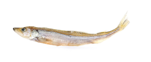 One dried salted smelt fish isolated on white