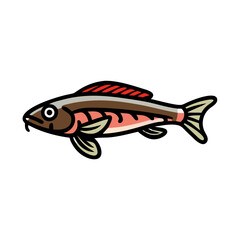 kribensis fish icon, kribensis fish vector illustration-simple illustration of kribensis fish, perfect for kribensis fish logos and icons