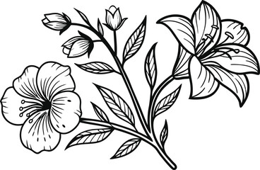 Colorful Flower Design Set for Creative Projects. Vibrant Floral Collection in Artistic Style. Decorative Flower Pack with Bright Colors. Artistic Flower Illustrations in Colorful Theme