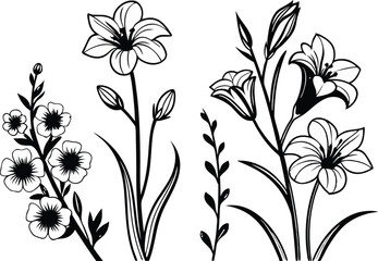 Colorful Flower Design Set for Creative Projects. Vibrant Floral Collection in Artistic Style. Decorative Flower Pack with Bright Colors. Artistic Flower Illustrations in Colorful Theme