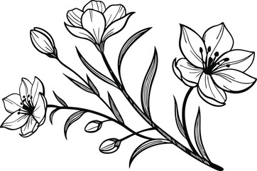 Colorful Flower Design Set for Creative Projects. Vibrant Floral Collection in Artistic Style. Decorative Flower Pack with Bright Colors. Artistic Flower Illustrations in Colorful Theme