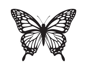 Black butterflies silhouette vector. Flying butterfly vector illustration eps 10