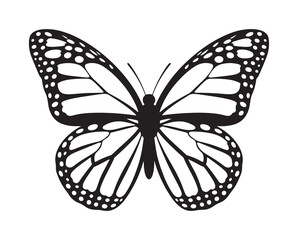 Black butterflies silhouette vector. Flying butterfly vector illustration eps 10