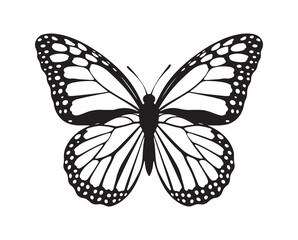 Black butterflies silhouette vector. Flying butterfly vector illustration eps 10