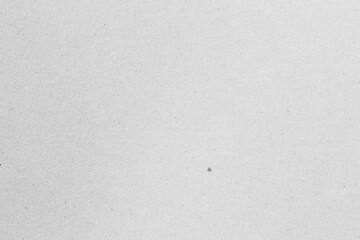White paper background texture light rough textured spotted blank copy space background