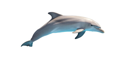 Fototapeta premium Dolphin leaping dark water