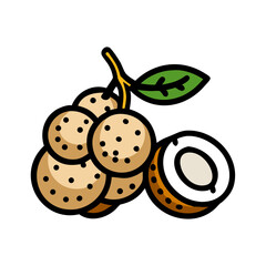 longan icon, longan vector illustration-simple illustration of longan, perfect for longan logos and icons