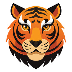 Angry tiger,Sumatran tiger beautiful animal and his portrait