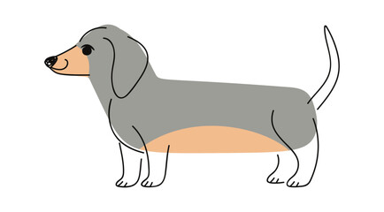 Dachshund cute hand drawn dog