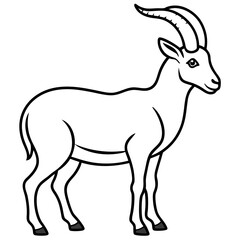 Minimalist Ibex Line Drawing