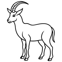 Obraz premium Minimalist Ibex Line Drawing