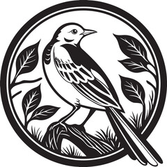 White Wagtail silhouette vector design