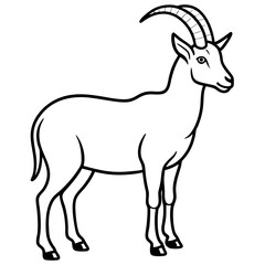 Obraz premium Minimalist Ibex Line Drawing