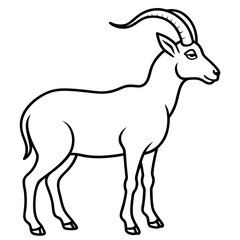 Minimalist Ibex Line Drawing