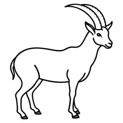 Minimalist Ibex Line Drawing