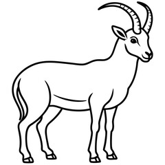 Minimalist Ibex Line Drawing