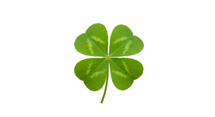 Four leaf clover green good fortune symbol