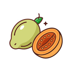 mamoncillo icon, mamoncillo vector illustration-simple illustration of mamoncillo, perfect for mamoncillo logos and icons